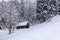 Scenic winter landscape with small wooden lonely house in the snow covered forest on the mountain slope. Outdoor travel background