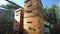 Scenic wooden beehive with bees in the sunlight