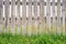 Scenic wooden fence with grass. Vintage texture Background