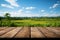 Scenic wooden floor bordering lush rice fields and an open sky