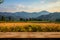 Scenic wooden table amidst a sunlit field with mountain backdrop