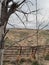 Scenic Wyoming landscape Terry Bison Ranch Cheyenne Wyoming springtime cloudy skies