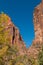 Scenic Zion Narrows Landscape in Fall