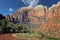 Scenic Zion Park Landscapes