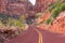 Scenic Zion Road