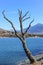 A scenics view of the Embrun, France lake with snowy mountains range in the background under a majestic blue sky