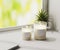 Scented candle with blank label mockup, burning white aromatic candles in glass on white surface with green plant on background,
