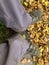 SCHAAN, LIECHTENSTEIN, SEPTEMBER 27, 2021 Feet on some dry leafs on the ground