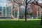 Schaerbeek, Brussels Capital Region - Belgium : Families playing in the Gaucheret park