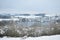 Schalkenmehren, Germany - 01 06 2021: Caldera with village and Schalkenmehrener Maar in snow covered Eifel