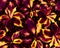 Schefflera Arboricola Seamless Pattern