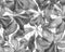 Schefflera Arboricola Seamless Pattern
