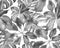 Schefflera Arboricola Seamless Pattern
