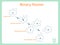 Scheme of Binary fission for school education