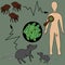 The scheme of infection with the plague bacterium: rat - flea - man. Bubonic plague. Vector illustration. Isolated.