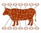 Scheme to cut cow beef meat. Vector illustration.