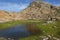 Scheuchzerâ€™s cottongrass in a rugged alpine landscape