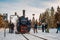 SCHIERKE, SAXONY-ANHALT / GERMANY - JANUARY 19, 2019: famous and historic Brockenbahn at Schierke train station at Harz Mountains