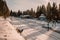 SCHIERKE, SAXONY-ANHALT / GERMANY - JANUARY 19, 2019: famous trainstation in Schierke at Harz Mountains National Park