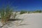 Schiermonnikoog island, white sand beach. Holland