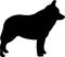 Schipperke silhouette black