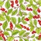 Schisandra branch vector pattern