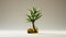 Schlieren Photography: Aloe Vera Bonsai Tree In Olive Oil Bottle