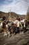 Schliersee, Germany, Bavaria, November 08, 2015: horse-drawn carriage with altar boys in Schliersee in Leonhardifahrt