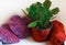 Schlumbergera cactus in pot decoration with red yarn heart as a present to Valentines day