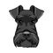 Schnauzer dog face. Schnauzer portrait. Dog head. Schnauzer dog breed. Vector.