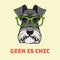 Schnauzer Dog geek portrait. Smart glasses. Dog nerd. Geek is chic lettering. Vector.