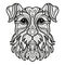 Schnauzer head dog coloring book page vector illustration