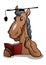 scholar horse wear graduation hat