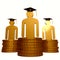 Scholarship fund and graduation symbol