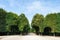 Schonbrunn palace park trees