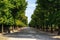 Schonbrunn palace park trees