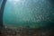 A school of baitfish under a pier in Florida.