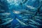 School of Barracuda fish in the blue ocean. Large group of marine life swimming