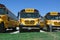 School buses