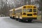 School Buses