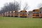 School Buses Driving in a Line