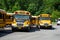 School buses parked in a parking lot at White Plains, NY 4