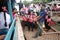 School children get in to a public boat