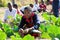 School children learning about agriculture and farming