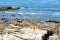 School Children and Teachers on the rocks and tide pools in Laguna Beach