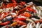A school of colourful koi fish frantically and chaotically competing for food in a pond.