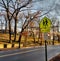 School Crossing Road Sign