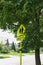 School crossing sign on tree lined street