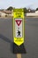 School crosswalk safety 2