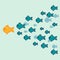 The school of fish. Concept of leadership.